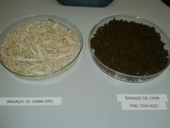 Bagaço de cana-de-açúcar é uma das matérias-primas do etanol de segunda geração (Foto: Silvia Cordeiro/G1PR)