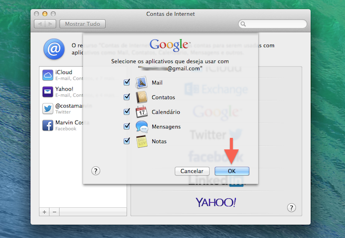 Definindo os serviços do Mac OS X que poderão se comunicar com a conta do Google (Foto: Reprodução/Marvin Costa)