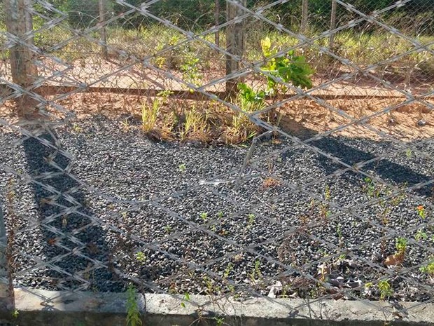 Presos fugiram de cadeia em Salvador (Foto: Divulgação/Sinspeb-BA)