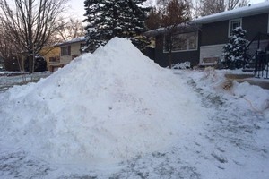 Neve acumulada para a construção da tartaruga (Foto: Reprodução/ Facebook)
