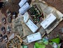 PM recolhe mil balas de fuzil e pistola das Forças Armadas em lago do DF