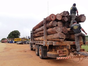 Um dos caminhões da madeireira apreendidos (Foto: Eduardo Lameira - Ibama/Divulgação) Um dos caminhões da madeireira apreendidos (Foto: Eduardo Lameira - Ibama/Divulgação)