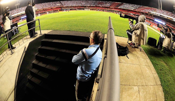 Na mira do STJD, Dorival pode perder reta final do Palmeiras no Brasileiro