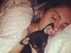 Bárbara Evans deita com cachorrinho na cama