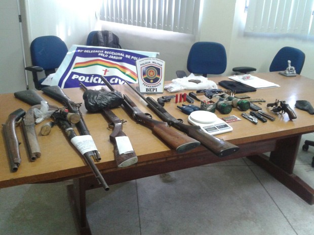 Armas foram apreendidas em operação no Agreste de Pernambuco (Foto: Divulgação/Polícia Civil)