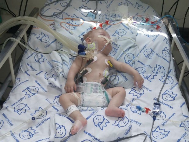 Bebê está internada na UTI do Pequeno Príncipe há três meses (Foto: Paula Heidy/Arquivo pessoal) Bebê está internada na UTI do Pequeno Príncipe há três meses (Foto: Paula Heidy/Arquivo pessoal)