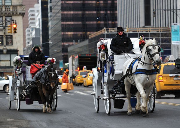 Carruagens puxadas por cavalos são vistas na região do Central Park (Foto: Stan Honda/AFP)