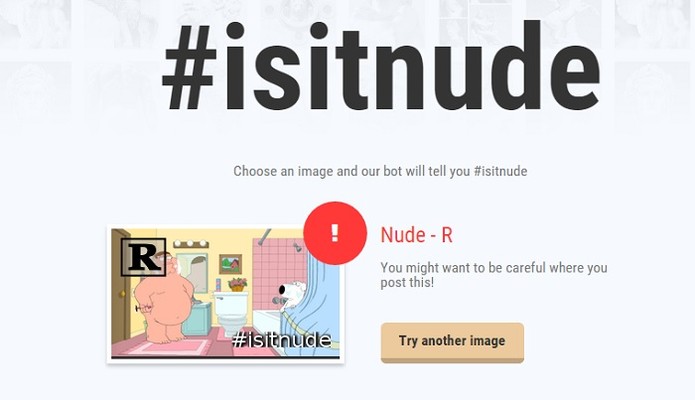 IsItNude utiliza algoritmo para detectar nude em imagens (Foto: Reprodução/IsItNude)