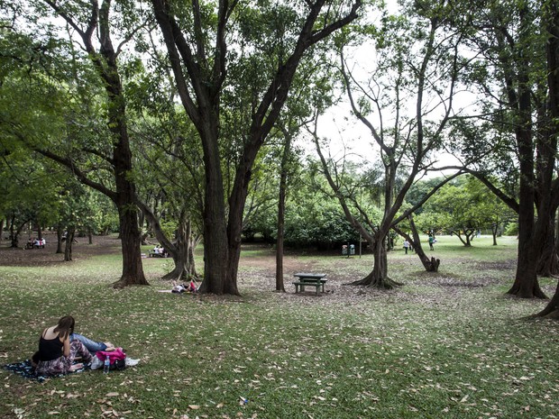 Parque do Ibirapuera (Foto: Vagner Campos/TV Globo) Parque do Ibirapuera (Foto: Vagner Campos/TV Globo)