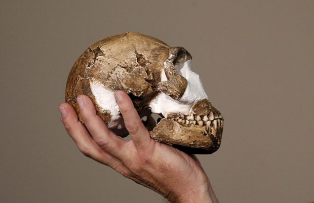 O professor Lee Berger segura a réplica de um crânio do ‘Homo naledi’, nova espécie de hominídeo descoberta na África do Sul  (Foto: Siphiwe Sibeko/Reuters)