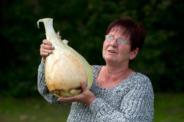 Com cebola de 6,165 quilos, britânica Barbara Cook conquistou título  (Foto: Oli Scarff/AFP)