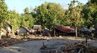 Tsunami deixa mortos e invade aeroporto (AP)