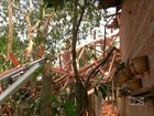 Ventania derruba torre e destrói casas em João Lisboa, MA