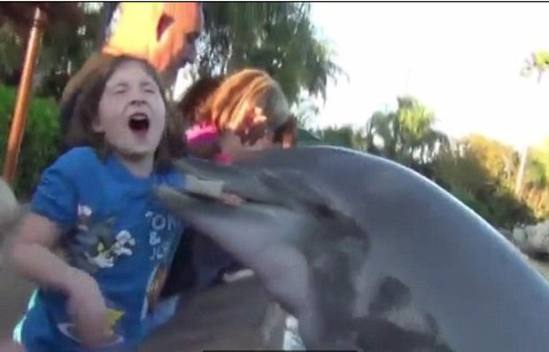 Menina de oito anos levou uma mordida de um golfinho. (Foto: Reprodução)