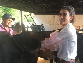 mariara-modelo-veterinaria-mulher-do-agro-cavalo-cavalgada-pecuaria- inseminação (Foto:  Divulgação/Arquivo pessoal)