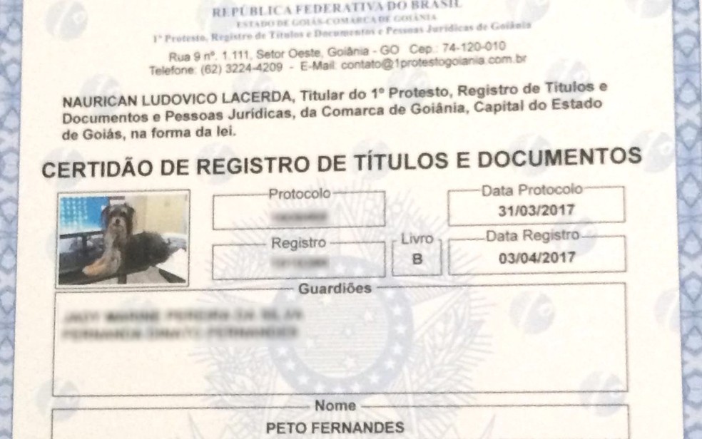 Dono recebe uma espécie de carteira de identidade do animal de estimação, em Goiânia (Foto: Paula Resende/ G1)