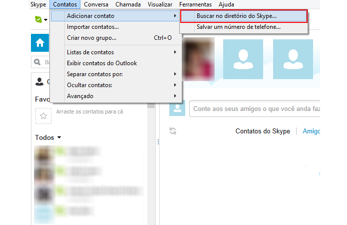 Faça uma busca no diretório do Skype (Foto: Reprodução/Paulo Alves)