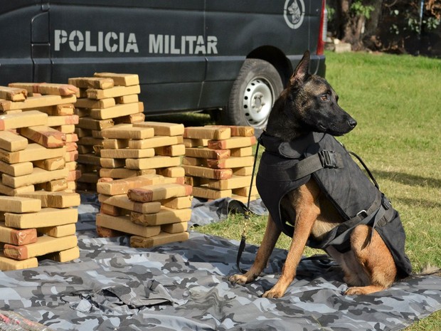 Batalhão de Operações com Cães encontra meia tonelada de maconha na Maré (Foto: Divulgação/Polícia Militar)
