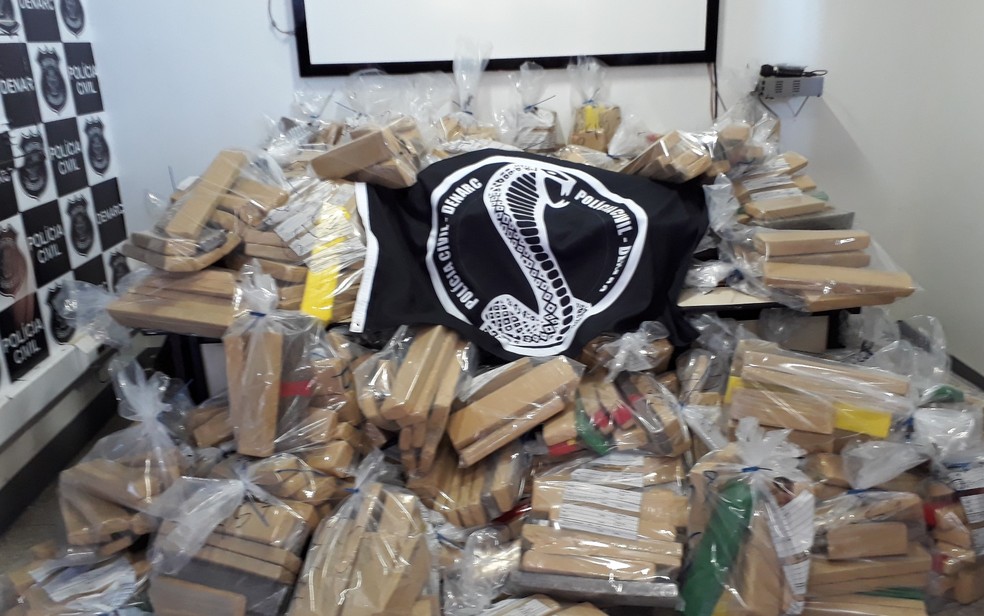 Pol&iacute;cia apreende 700 kg de maconha em casa de Goi&acirc;nia (Foto: Vitor Santana/G1)