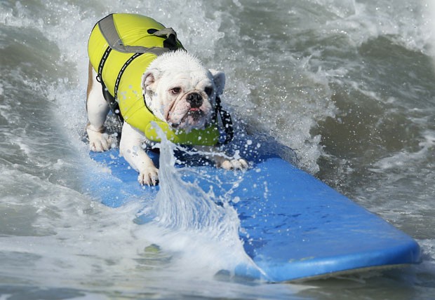 Competição foi realizada em praia de Huntington Beach, no estado da Califórnia.  (Foto: Lucy Nicholson/Reuters)