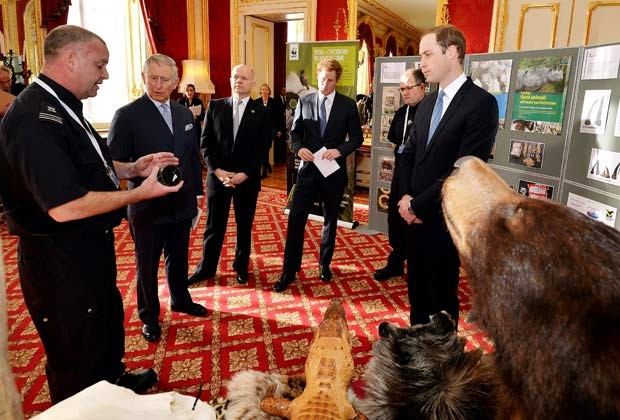 Chanceler William Hague participa de inauguração de conferência com os príncipes Charles, Harry e William (Foto: AFP PHOTO / POOL / JOHN STILLWELL)