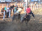 'Foi uma luta de 20 anos', diz ativista sobre fim da vaquejada no Ceará