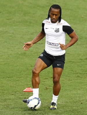 Arouca Santos (Foto: Ricardo Saibun / Santos FC)