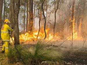Bombeiro combate incêndio em Perth, no oeste da Austrália. (Foto: AP Photo/Department of Fire and Emergency Services, Evan Collis)