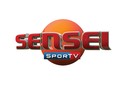 Sensei SporTV (Reprodução SporTV)