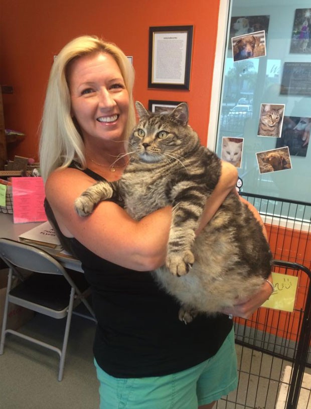 Gato  Little Dude está com 16,3 quilos (Foto: Reprodução/Facebook/Angela Jackson-Brunning)