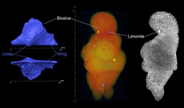 Imagens derivadas de tomografias computadorizadas da Vênus (Foto: Gerhard Weber, Universidade de Viena)