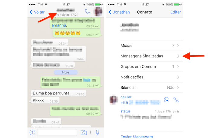 Acessando a página de mensagens sinalizadas de um contato do WhatsApp pelo iPhone (Foto: Reprodução/Marvin Costa)
