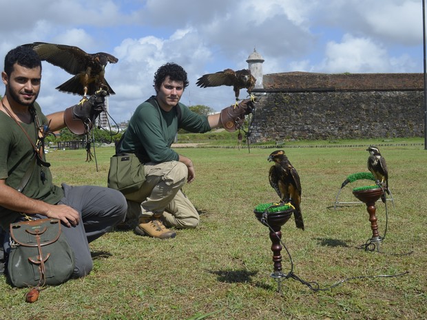 Aves de rapina são submetidas a treinamentos diários, aplicados pelos biólogos Felipe Furtado e Marcos Cruz (Foto: Graziela Miranda/G1)