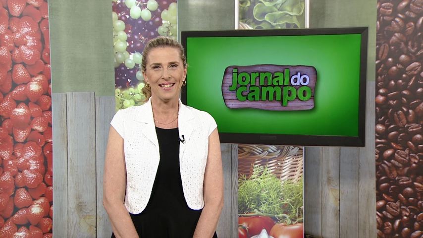 Claudia Gregório comanda o Jornal do Campo (Foto: Divulgação/ TV Gazeta)