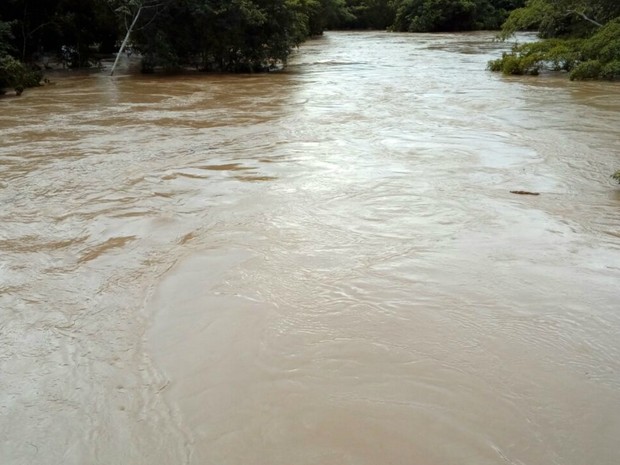 Rio Coxipó transbordou após chuva forte e alagou casas (Foto: Rosenil Maria Dias Pinto/ Arquivo pessoal)
