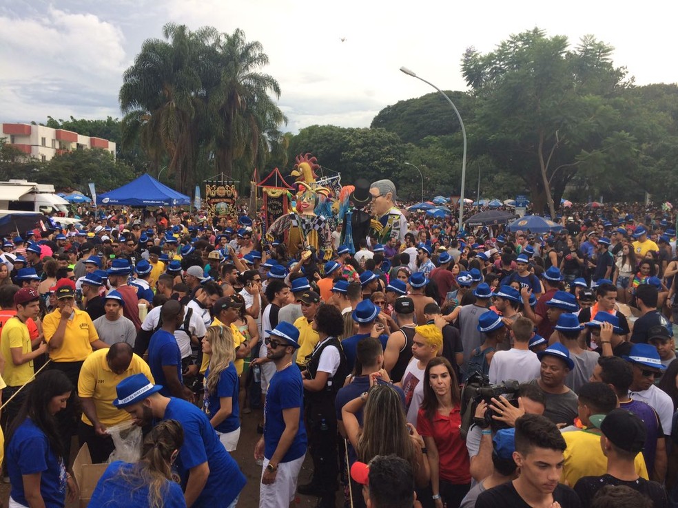Foliões se diveretem em bloco de rua no DF (Foto: Wellington Hanna/G1)