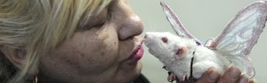Mulher beija ratinho de estimação na Belarus (Viktor Drachev/AFP)