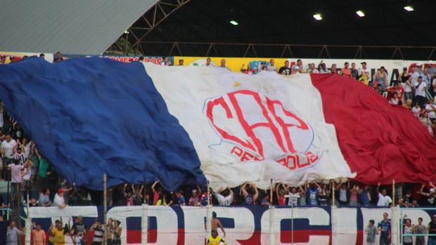 Penapolense, torcida, bandeirão (Foto: Silas Reche / CA Penapolense)