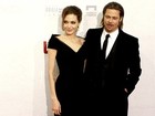 Angelina Jolie e Brad Pitt  vão construir parque de diversões em casa