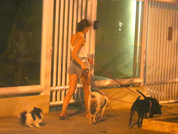 Laura Neiva passeia com cachorros (Foto: AgNews)