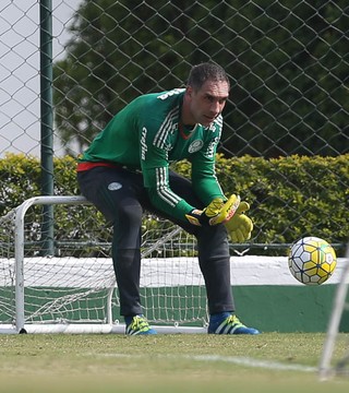 Juventude + experiência: a soma que faz do Palmeiras candidato a títulos