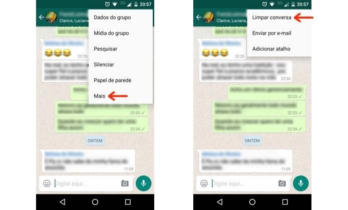 Opção para limpar conversa em grupo do WhatsApp (Foto: Reprodução/Raquel Freire)