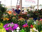 Feira traz opções de flores para o 'Dia dos Namorados' em Santarém