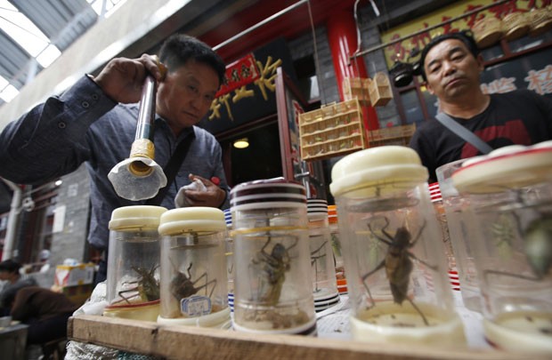 É comum encontrar comerciantes vendendo os insetos, presos delicadamente em jaulas e cujo canto faz parte dos sons tradicionais da cidade (Foto: Kim Kyung-hoon/Reuters)