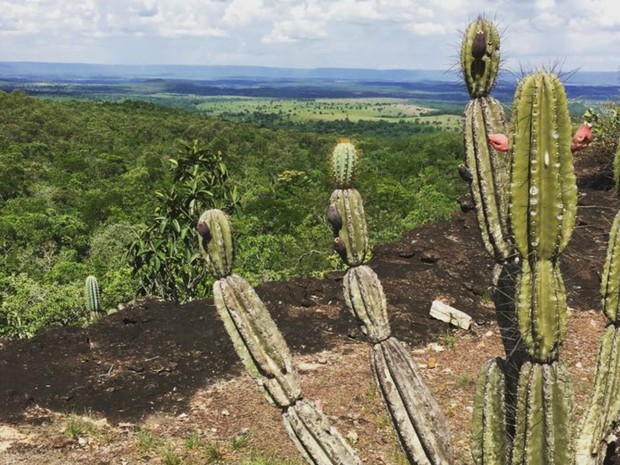Monumento Natural Serra do Bom Jardim (Foto: Prefeitura de Alcinópolis/Divulgação)