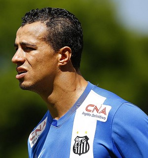 Leandro Damião Santos (Foto: Ricardo Saibun / Divulgação Santos FC)