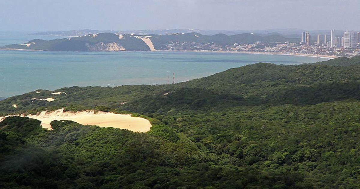 G1 Programação especial no Parque das