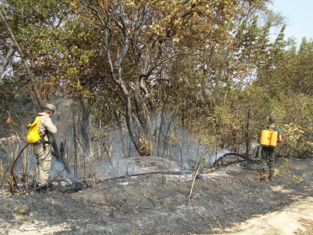 Bombas costais também foram usadas para controlar chamas (Foto: Ney Santana/Arquivo Pessoal)