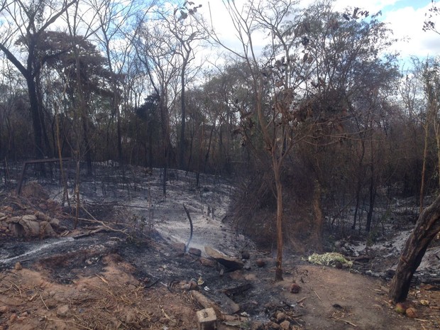 Fogo começou em terreno atrás dos pontos comerciais  (Foto: Beto Marques/G1)