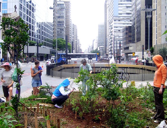 Mutirão para montar uma horta na avenida Paulista (Foto: Luiz Campos - Wikimedia Commons)